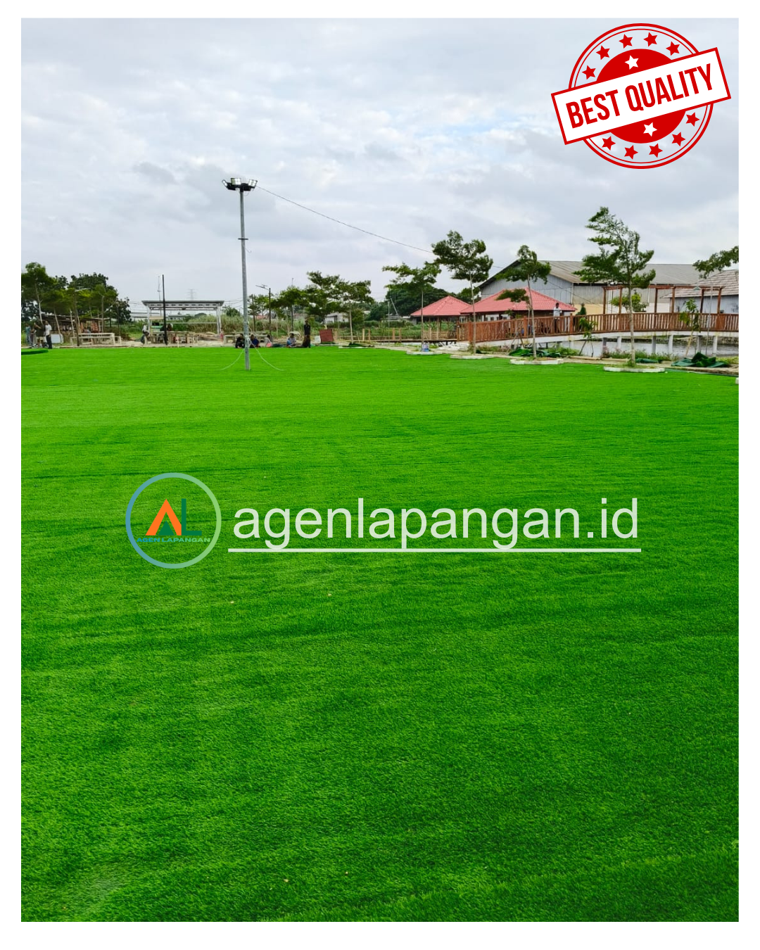 Halaman Selalu Hijau Tanpa Tukang Kebun? Rahasia Rumah Mewah yang Jarang Diketahui.